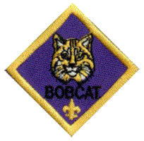 former Bobcat badge (discontinued 2024)