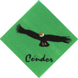 C&oacute;ndor Scout / Chile