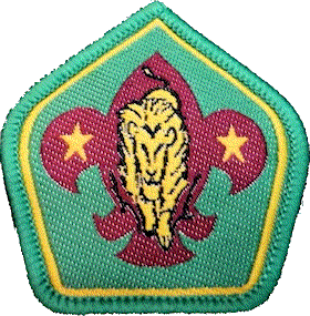 Lion Scout / Eswatini/Swaziland